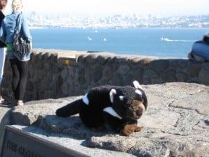 San Francisco skyline